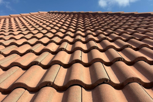 roof washing bradenton
