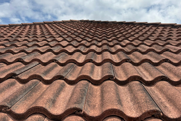 roof washing bradenton